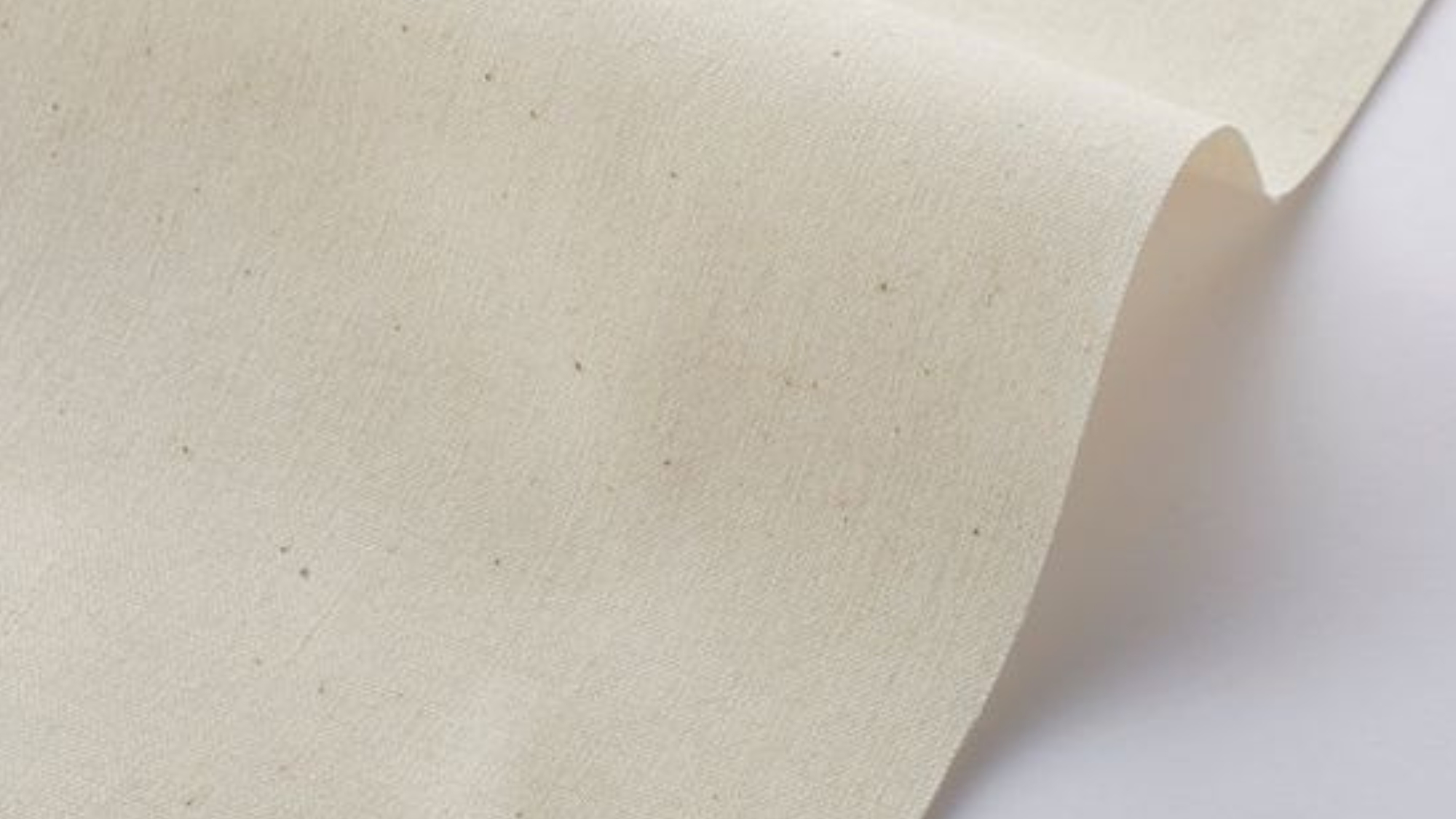 Cotton sheeting Fabric